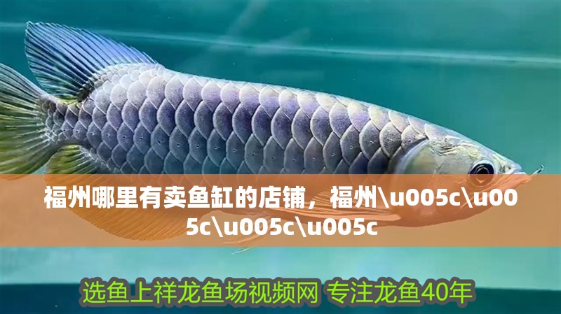 福州哪里有賣魚缸的店鋪，福州\u005c\u005c\u005c\u005c