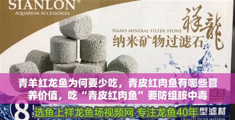 青羊紅龍魚為何要少吃，青皮紅肉魚有哪些營養價值，吃“青皮紅肉魚”要防組胺中毒