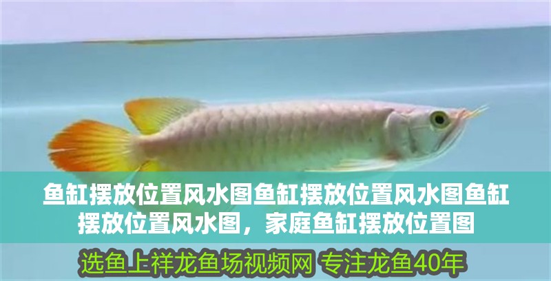 魚缸擺放位置風(fēng)水圖魚缸擺放位置風(fēng)水圖魚缸擺放位置風(fēng)水圖，家庭魚缸擺放位置圖