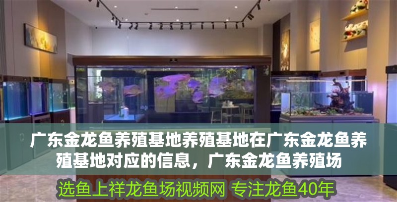 廣東金龍魚養殖基地養殖基地在廣東金龍魚養殖基地對應的信息，廣東金龍魚養殖場