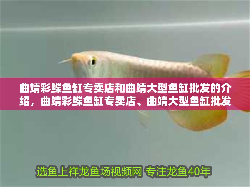 曲靖彩鰈魚(yú)缸專(zhuān)賣(mài)店和曲靖大型魚(yú)缸批發(fā)的介紹，曲靖彩鰈魚(yú)缸專(zhuān)賣(mài)店、曲靖大型魚(yú)缸批發(fā)