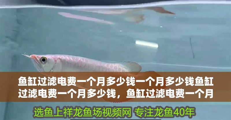 魚缸過濾電費一個月多少錢一個月多少錢魚缸過濾電費一個月多少錢，魚缸過濾電費一個月多少錢