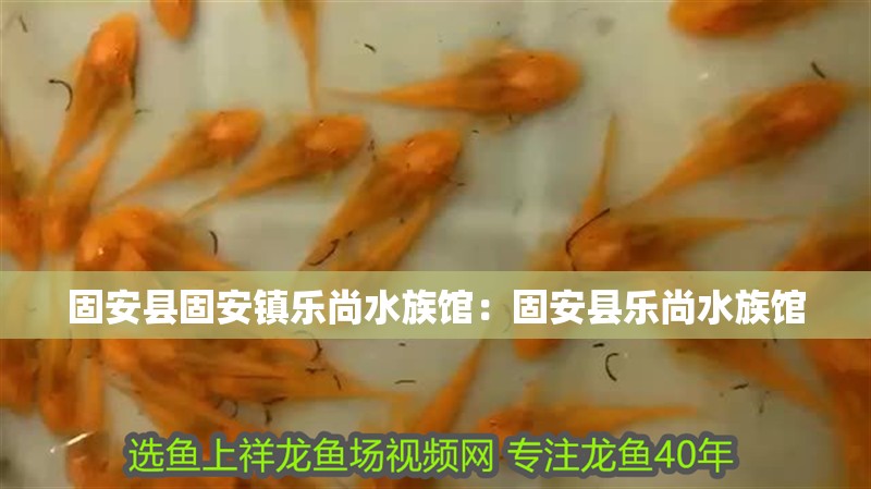 固安縣固安鎮樂尚水族館：固安縣樂尚水族館