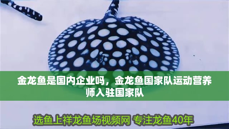 金龍魚是國內企業嗎，金龍魚國家隊運動營養師入駐國家隊