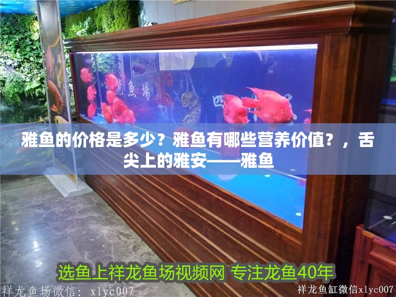雅魚的價格是多少？雅魚有哪些營養價值？，舌尖上的雅安——雅魚