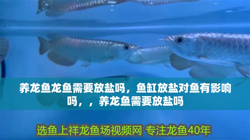 養(yǎng)龍魚龍魚需要放鹽嗎，魚缸放鹽對魚有影響嗎，，養(yǎng)龍魚需要放鹽嗎