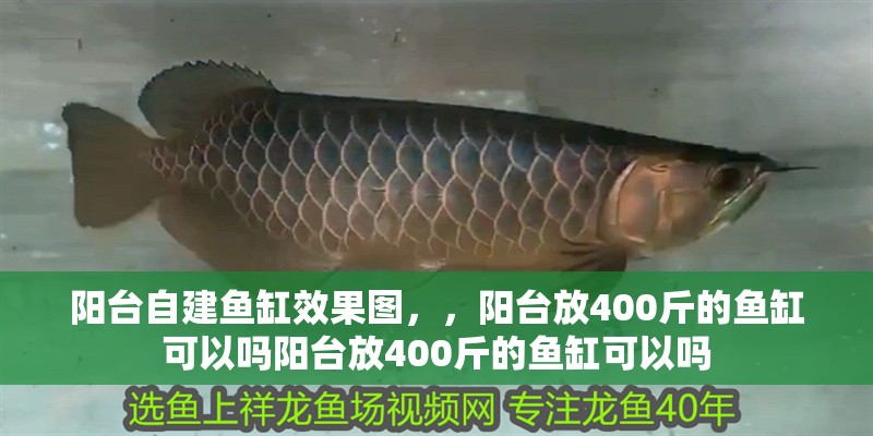 陽臺自建魚缸效果圖，，陽臺放400斤的魚缸可以嗎陽臺放400斤的魚缸可以嗎