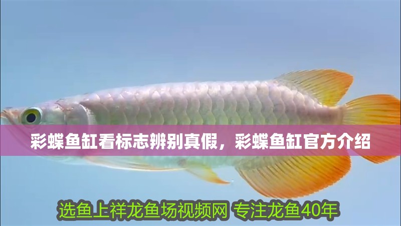 彩蝶魚缸看標志辨別真假，彩蝶魚缸官方介紹