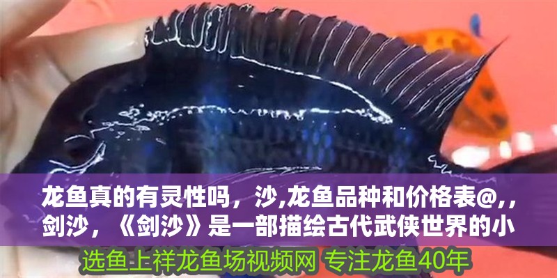 龍魚真的有靈性嗎，沙,龍魚品種和價格表@,，劍沙，《劍沙》是一部描繪古代武俠世界的小說，講述了主人公的故事