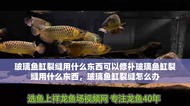 玻璃魚缸裂縫用什么東西可以修補玻璃魚缸裂縫用什么東西，玻璃魚缸裂縫怎么辦