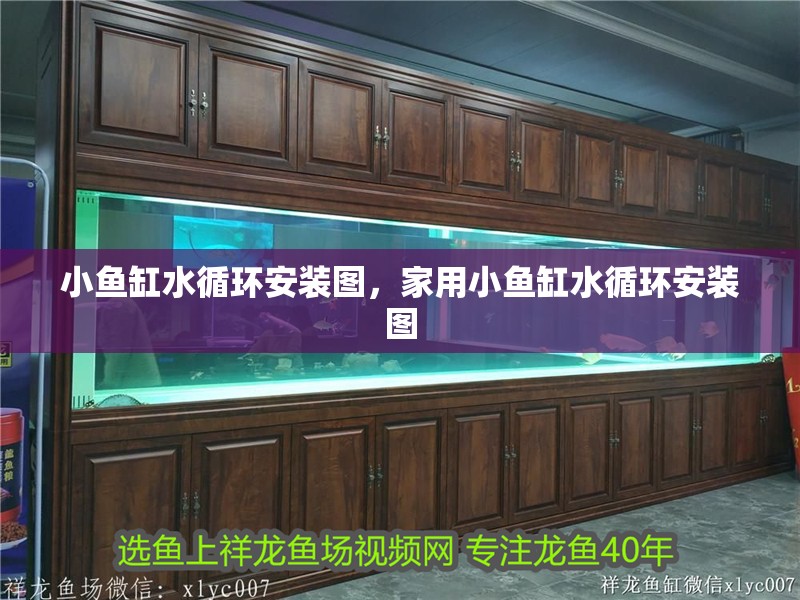 小魚缸水循環(huán)安裝圖，家用小魚缸水循環(huán)安裝圖