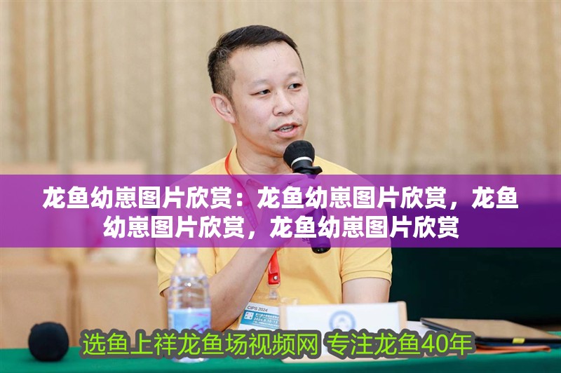 龍魚幼崽圖片欣賞：龍魚幼崽圖片欣賞，龍魚幼崽圖片欣賞，龍魚幼崽圖片欣賞