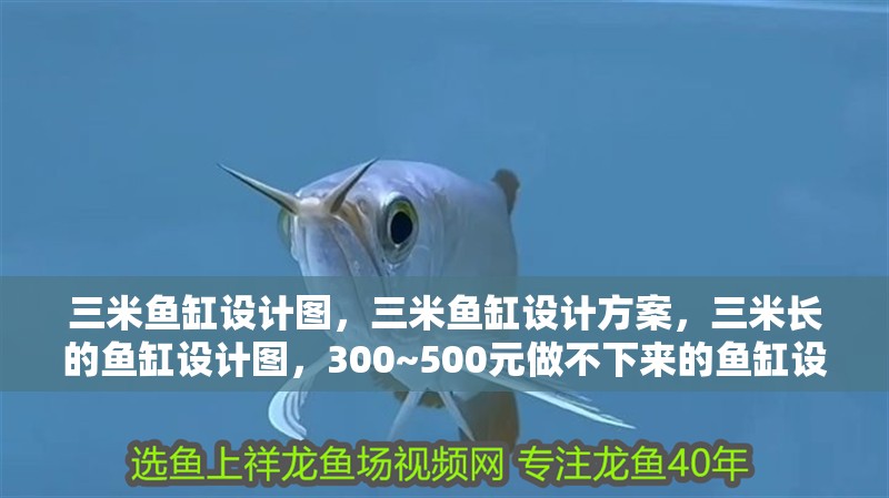 三米魚缸設計圖，三米魚缸設計方案，三米長的魚缸設計圖，300~500元做不下來的魚缸設計圖