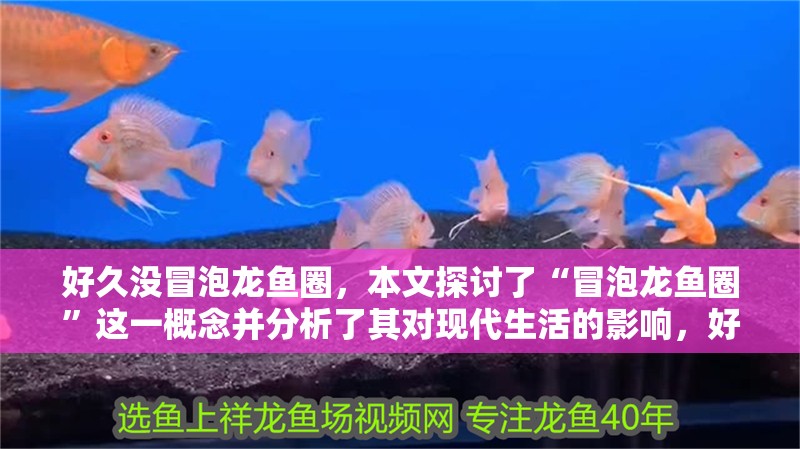 好久沒冒泡龍魚圈，本文探討了“冒泡龍魚圈”這一概念并分析了其對現代生活的影響，好久沒冒泡龍魚圈，本文探討了“冒泡龍魚圈”的歷史背景