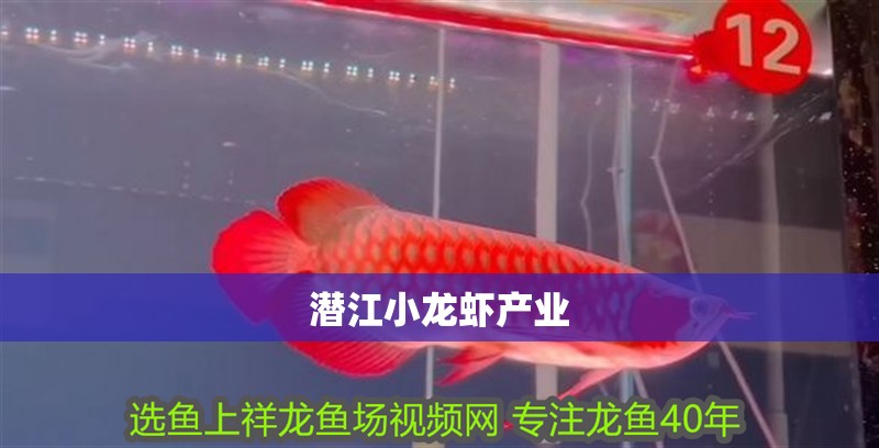 潛江小龍蝦產業