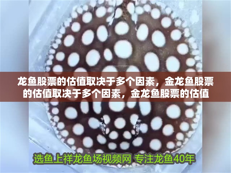 龍魚股票的估值取決于多個因素，金龍魚股票的估值取決于多個因素，金龍魚股票的估值