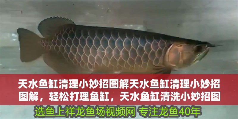 天水魚缸清理小妙招圖解天水魚缸清理小妙招圖解，輕松打理魚缸，天水魚缸清洗小妙招圖解