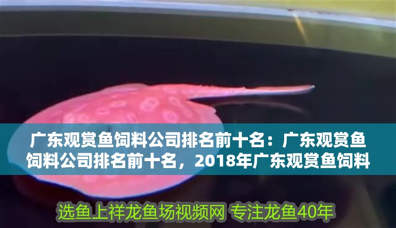 廣東觀賞魚(yú)飼料公司排名前十名：廣東觀賞魚(yú)飼料公司排名前十名，2018年廣東觀賞魚(yú)飼料公司排名前十名