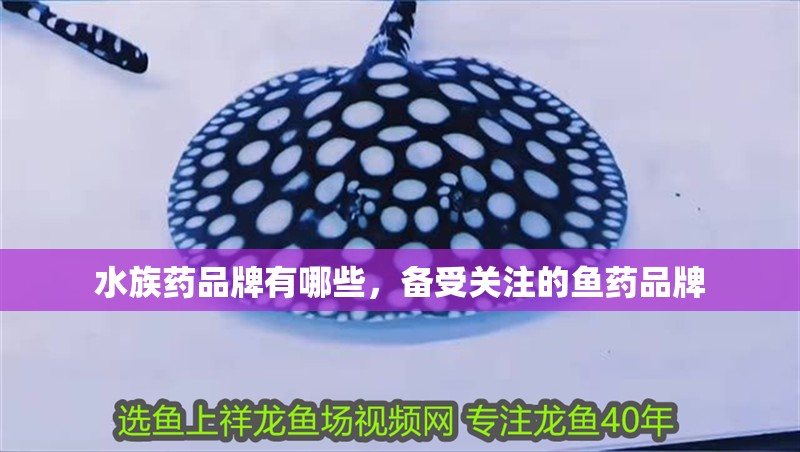 水族藥品牌有哪些，備受關(guān)注的魚藥品牌