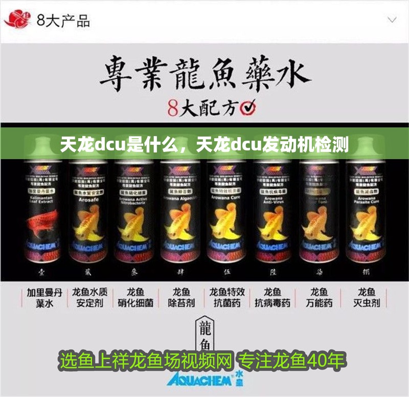 天龍dcu是什么，天龍dcu發動機檢測