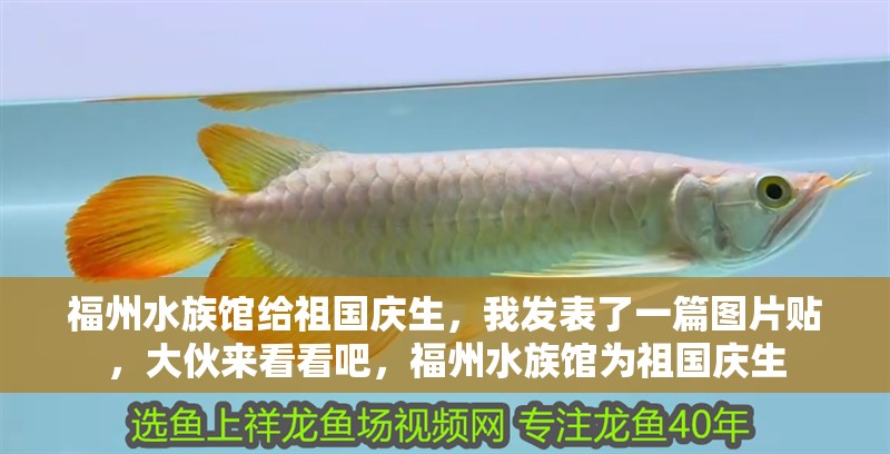福州水族館給祖國(guó)慶生，我發(fā)表了一篇圖片貼，大伙來看看吧，福州水族館為祖國(guó)慶生