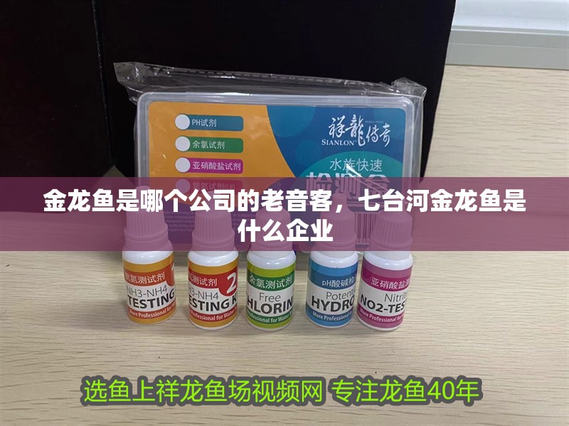 金龍魚是哪個公司的老音客，七臺河金龍魚是什么企業