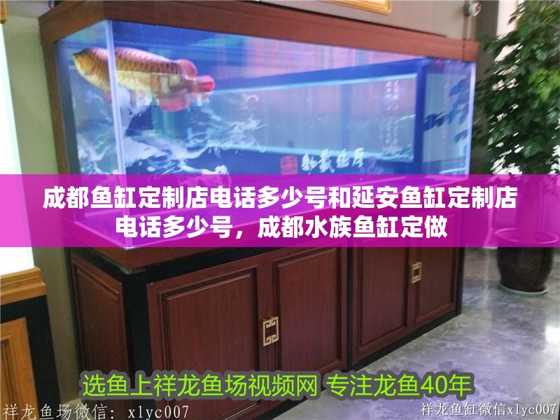 成都魚缸定制店電話多少號(hào)和延安魚缸定制店電話多少號(hào)，成都水族魚缸定做
