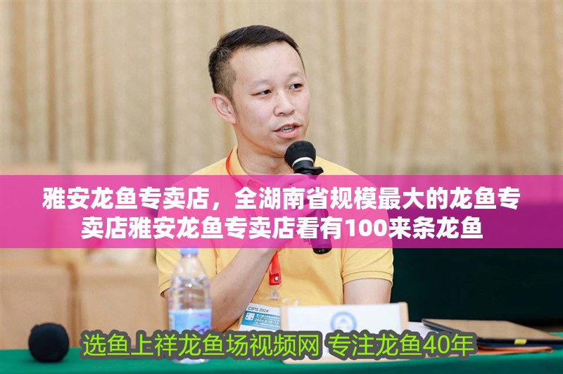 雅安龍魚專賣店，全湖南省規模最大的龍魚專賣店雅安龍魚專賣店看有100來條龍魚