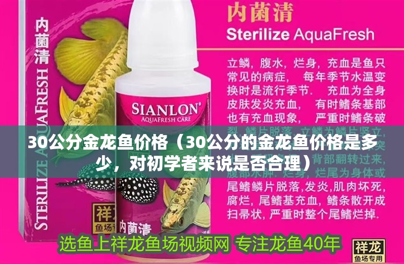 30公分金龍魚價格（30公分的金龍魚價格是多少，對初學者來說是否合理）
