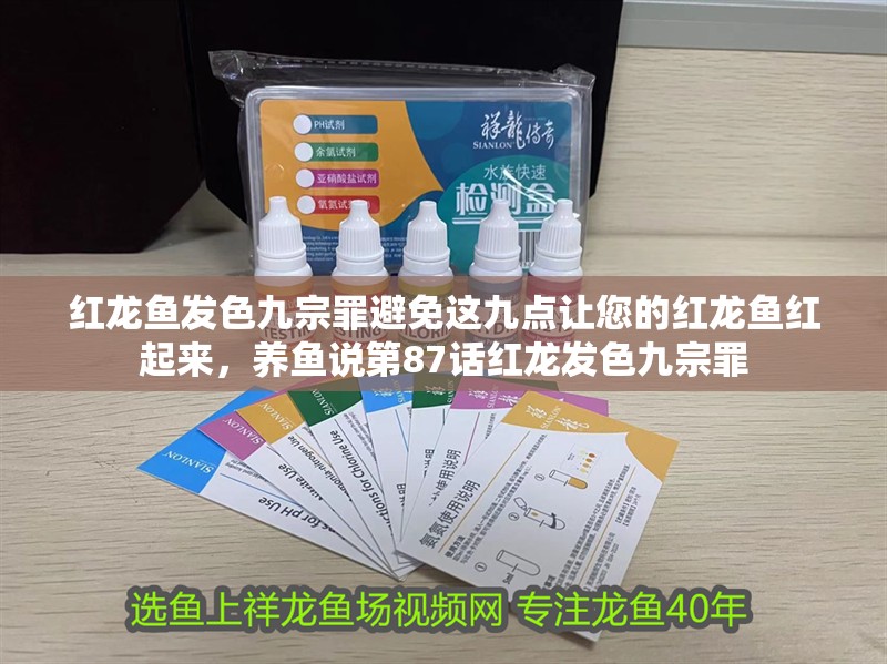 紅龍魚發色九宗罪避免這九點讓您的紅龍魚紅起來，養魚說第87話紅龍發色九宗罪