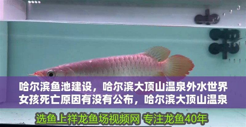 哈爾濱魚池建設(shè)，哈爾濱大頂山溫泉外水世界女孩死亡原因有沒有公布，哈爾濱大頂山溫泉外水世界女孩死亡原因有沒有公布