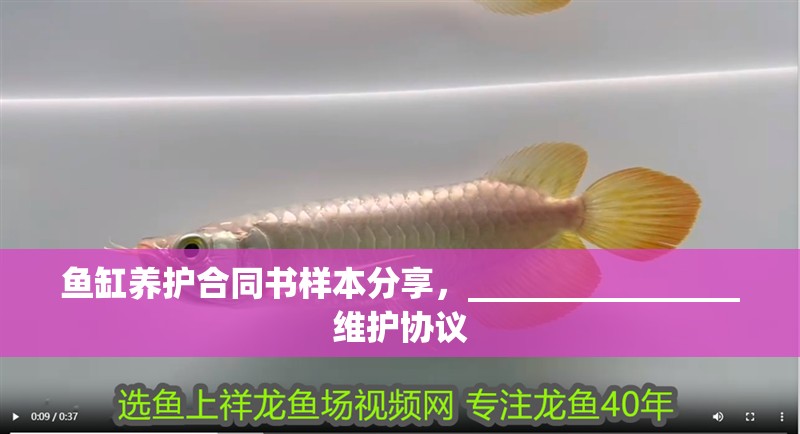 魚缸養護合同書樣本分享，________________維護協議