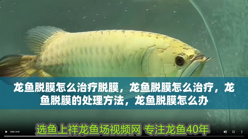 龍魚(yú)脫膜怎么治療脫膜，龍魚(yú)脫膜怎么治療，龍魚(yú)脫膜的處理方法，龍魚(yú)脫膜怎么辦
