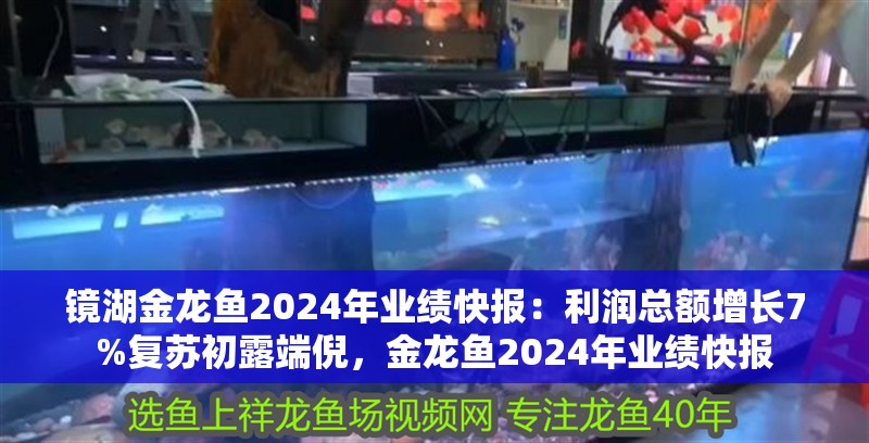 鏡湖金龍魚2024年業績快報：利潤總額增長7%復蘇初露端倪，金龍魚2024年業績快報