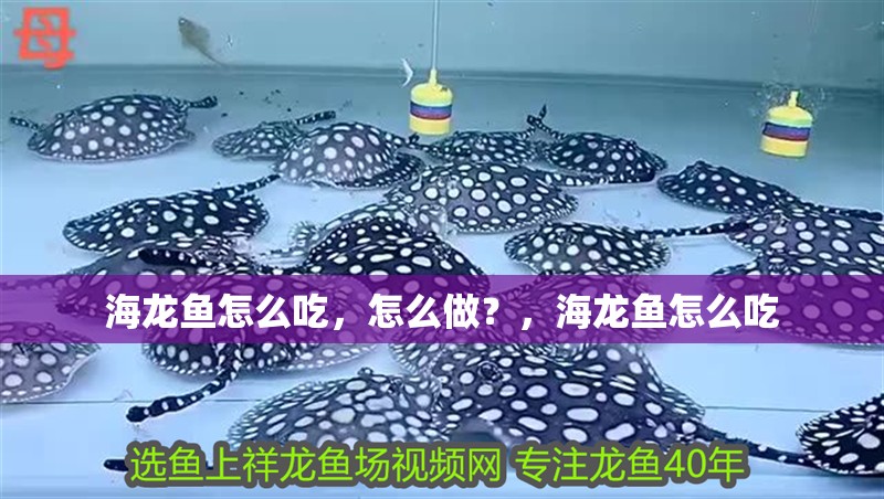 海龍魚怎么吃，怎么做？，海龍魚怎么吃