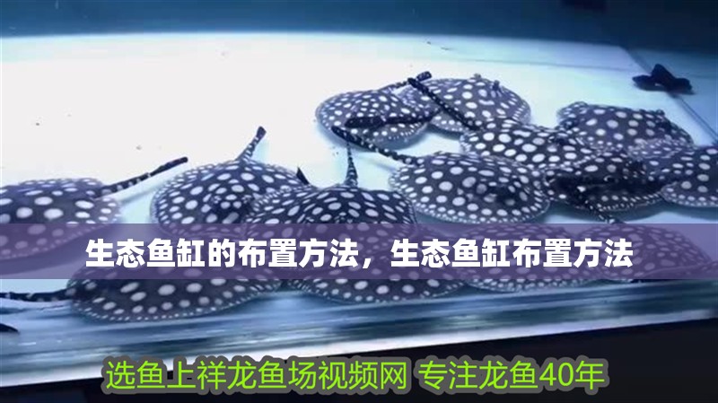 生態魚缸的布置方法，生態魚缸布置方法