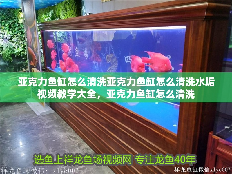 亞克力魚缸怎么清洗亞克力魚缸怎么清洗水垢視頻教學(xué)大全，亞克力魚缸怎么清洗