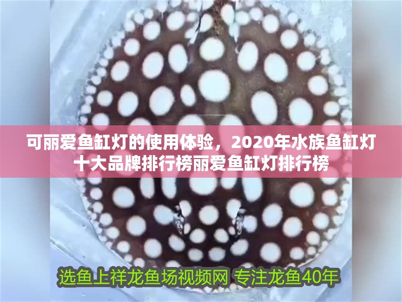 可麗愛魚缸燈的使用體驗，2020年水族魚缸燈十大品牌排行榜麗愛魚缸燈排行榜