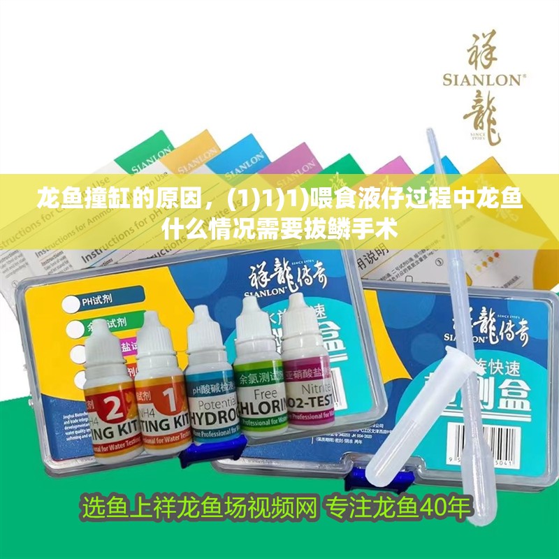 龍魚撞缸的原因，(1)1)1)喂食液仔過程中龍魚什么情況需要拔鱗手術