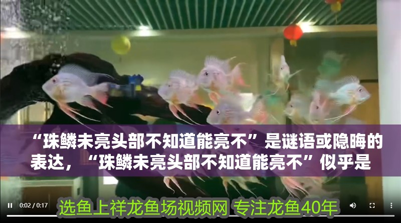 “珠鱗未亮頭部不知道能亮不”是謎語或隱晦的表達，“珠鱗未亮頭部不知道能亮不”似乎是一個謎語或隱晦的表達