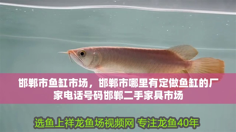 邯鄲市魚缸市場，邯鄲市哪里有定做魚缸的廠家電話號碼邯鄲二手家具市場