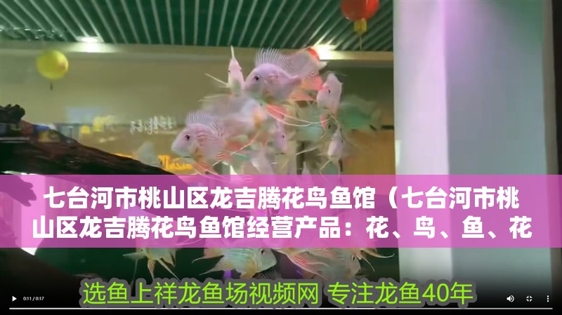 七臺河市桃山區(qū)龍吉騰花鳥魚館（七臺河市桃山區(qū)龍吉騰花鳥魚館經(jīng)營產(chǎn)品：花、鳥、魚、花土、魚具用品、水族箱零售）