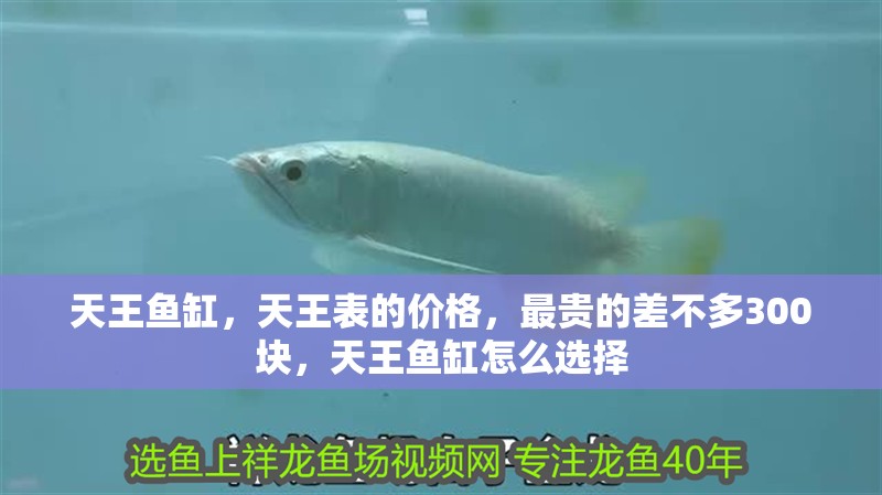 天王魚缸，天王表的價格，最貴的差不多300塊，天王魚缸怎么選擇
