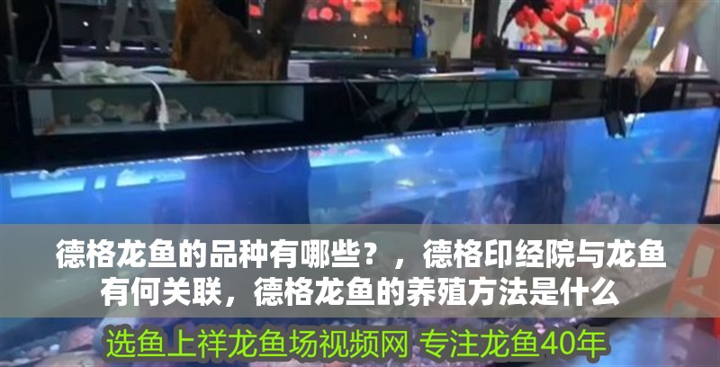 德格龍魚的品種有哪些？，德格印經院與龍魚有何關聯，德格龍魚的養殖方法是什么