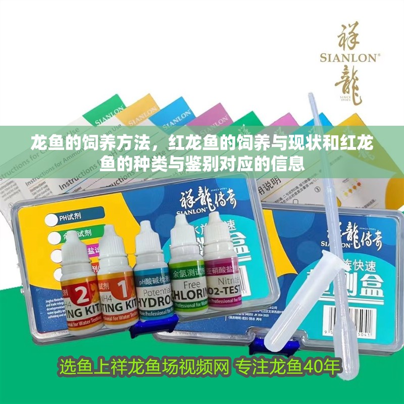 龍魚的飼養(yǎng)方法，紅龍魚的飼養(yǎng)與現(xiàn)狀和紅龍魚的種類與鑒別對應(yīng)的信息