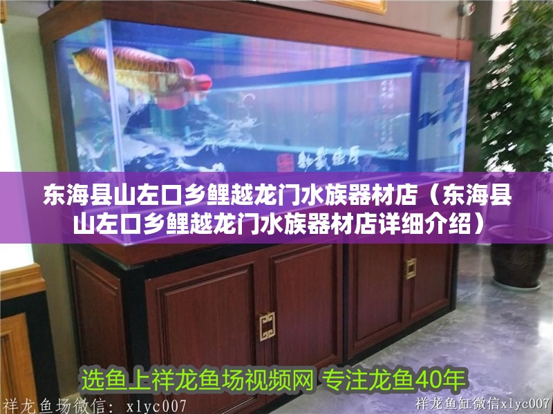 東海縣山左口鄉鯉越龍門水族器材店（東海縣山左口鄉鯉越龍門水族器材店詳細介紹） 東海縣山左口鄉鯉越龍門水族器材店（東海縣山左口鄉鯉越龍門水族器材店詳細介紹） 觀賞魚百科 第2張