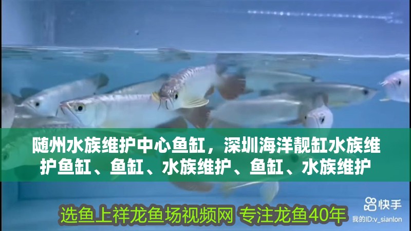 隨州水族維護中心魚缸，深圳海洋靚缸水族維護魚缸、魚缸、水族維護、魚缸、水族維護