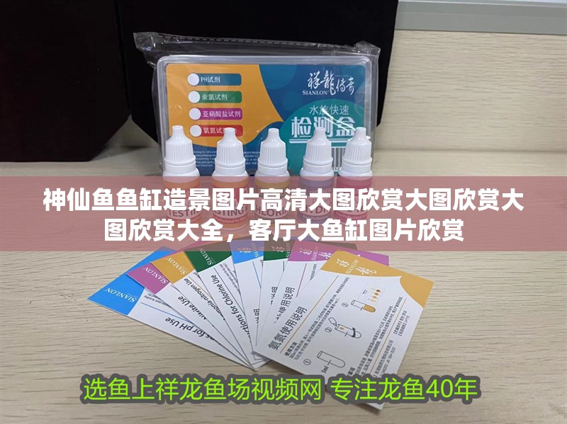 神仙魚魚缸造景圖片高清大圖欣賞大圖欣賞大圖欣賞大全，客廳大魚缸圖片欣賞