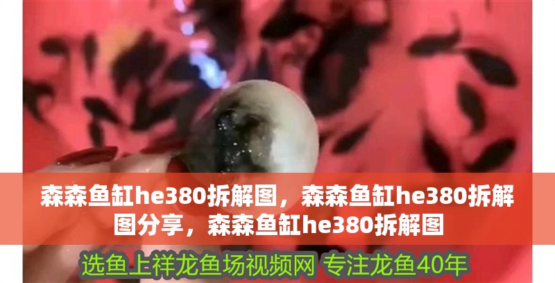 森森魚缸he380拆解圖，森森魚缸he380拆解圖分享，森森魚缸he380拆解圖