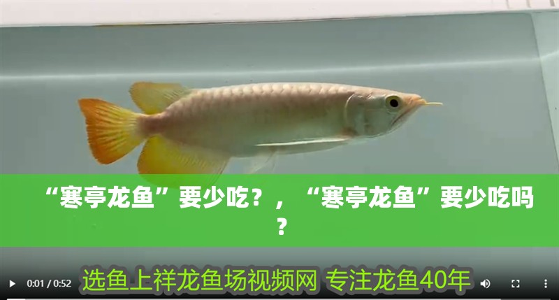 “寒亭龍魚”要少吃？，“寒亭龍魚”要少吃嗎？